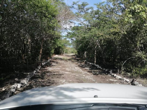 Imagen 5 de 12 de Terreno En Venta Sisal