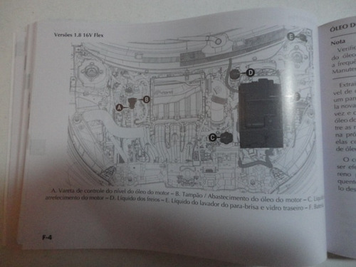 Em Branco Manual Fiat Argo 2018 2019 Original