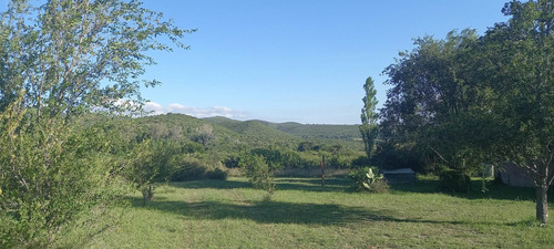 Imagen 1 de 30 de Campo 7 Hectreas Plano Con Chalet, San Esteban