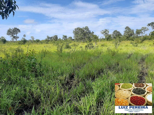 Imagem 7 de 15 de Fazenda À Venda No Vale Do Araguaia / Divinópolis - To - (dupla Aptidão) - 1705