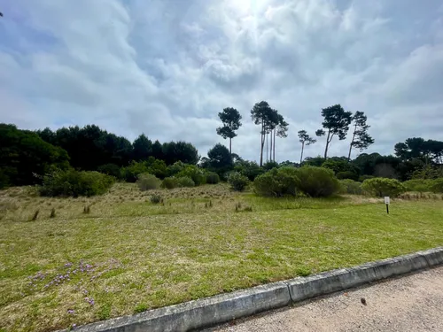 Venta Lote En Acres De Solanas Punta Ballena - Maldonado