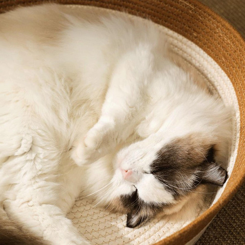 Cesto De Almacenamiento Para Gatos Cesto De Cuerda De Algodó