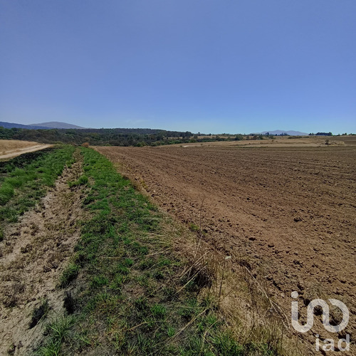 Venta Terreno 0 Ambiente Jacal De La Piedad