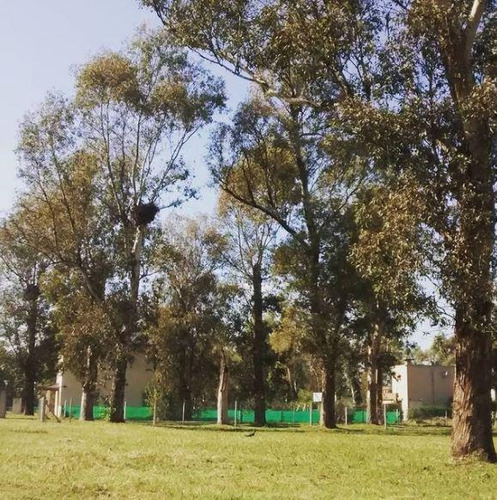 Imagen 6 de 7 de Excelente Lote Interno En Barrio Álvarez Del Bosque, Moreno