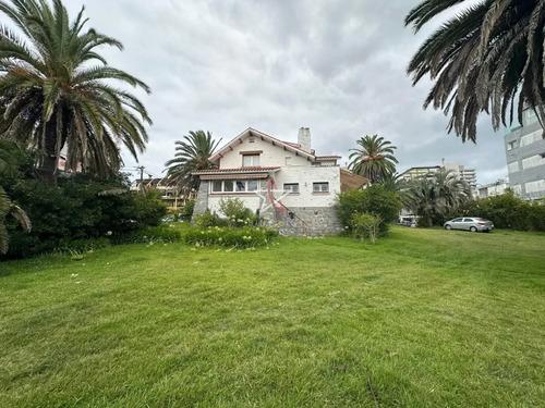 Alquiler, Anual, Casa, Peninsula, Local Comercial, Punta Del Este.