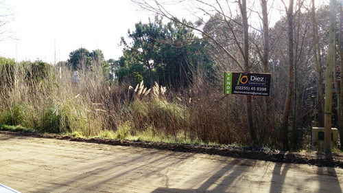 Imagen 5 de 6 de Lote Mar Azul Forestado