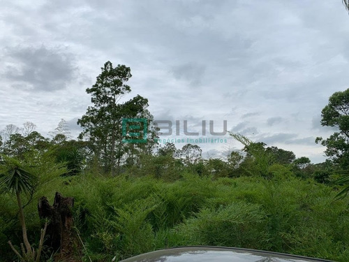 Imagem 9 de 14 de Chácara Em São Domingos - Suzano - 284