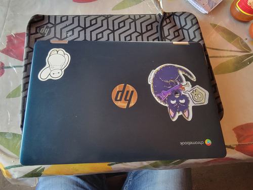 Laptop Hp Chromebook 14a-ca0090wm Azul (Usado)