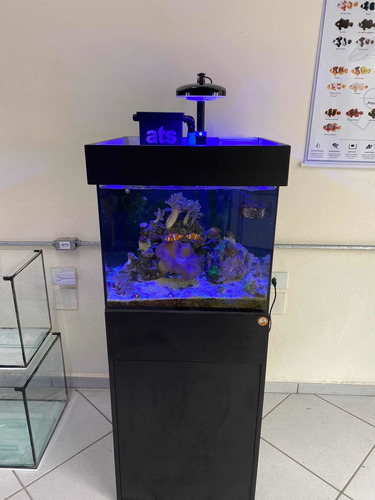 Imagem 5 de 10 de Luminaria Corex Mini Para Aquario Marinho - Bluetooth 78w