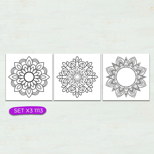 Set 3u 30x30 Cuadros Para Pintar Acrílicos De Regalo