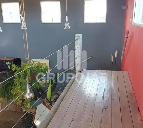 Imagen 13 de 28 de Vende Chacra De 10 Hectáreas Con Una Casa De 500 M2 - Penitente - Minas