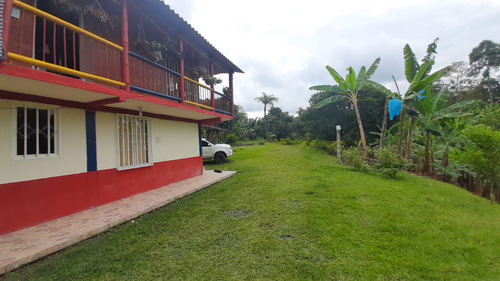 Se Vende Finca La Siria Circasia - Montenegro Quindío