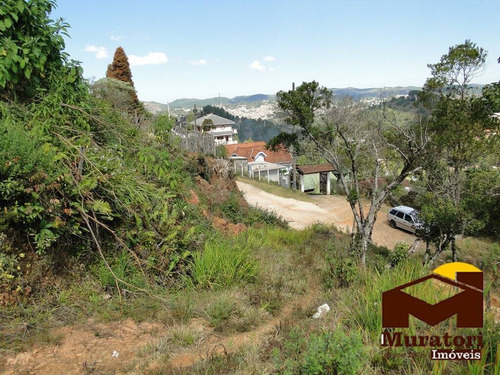 Imagem 8 de 15 de Lote À Venda - 2079