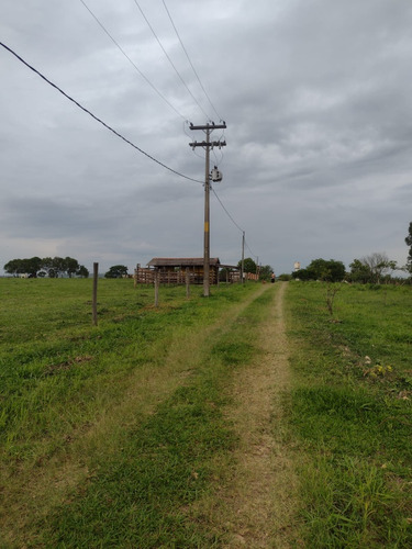 Vende Se Sítio Na Cidade De Pereiras Sp 30.000 Metros 2 Casa