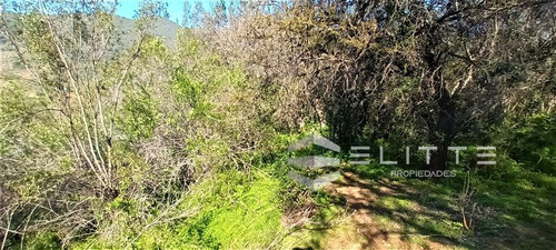 Agrícola En Venta En Olmué