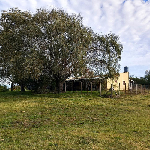 Imagen 14 de 16 de Venta Chacra De 7 Ha. En Zona De Gran Potencial