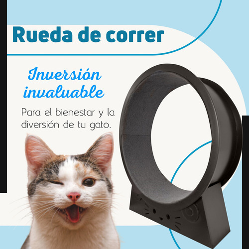 Rueda De Correr Para Gato Madera Juguete Y Ejercicio Mediana