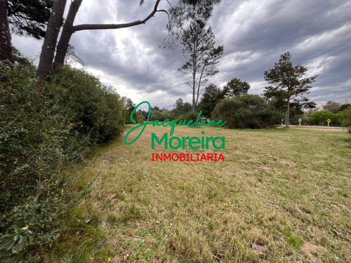 Terrenos Venta - T101184