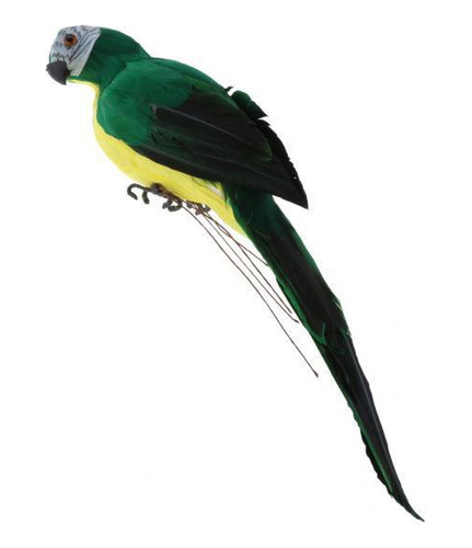 Modelo De De Macaw 2x Para Jardín Decoración De Césped