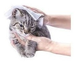 Imagen 5 de 7 de Toallitas Húmedas Para Mascotas 30 Pzas Para Perro Y Gato