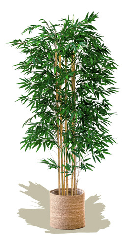 Maia Shop Bambú - Árbol Artificial Con Cañas Naturales, .