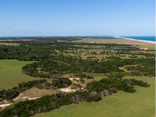 Imagen 10 de 13 de Terreno En Venta En Las Garzas
