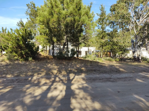 Imagen 2 de 3 de Amplio Lote Arbolado En Zona Residencial San Bernardo