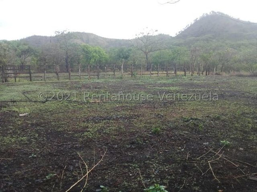 Imagen 3 de 8 de Finca Vallecito Carretera Vía San Sebastián De Los Reyes. Codigo 22-14451 Yinett A