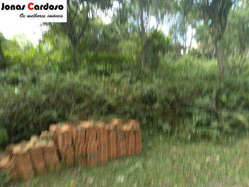 Imagem 3 de 7 de Terreno - Excelente Oportunidade - Te00115 - 69732832