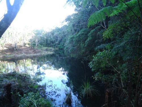 Imagem 8 de 10 de Lindo Terreno Com Lago Ref 874