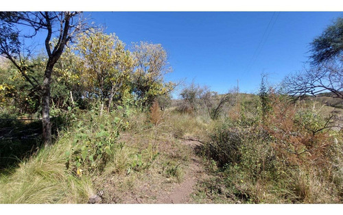 Imagen 6 de 8 de Fracción De 4.15 Ha En Falda Del Carmen. Lote N° 4