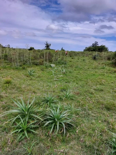 Campo 11 Has Con 683 M2 En Paraje Pueblo Eden