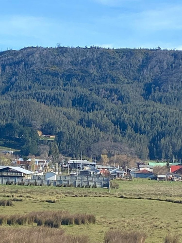 Vendo 16 Hectáreas De Cerro En Llico, Arauco