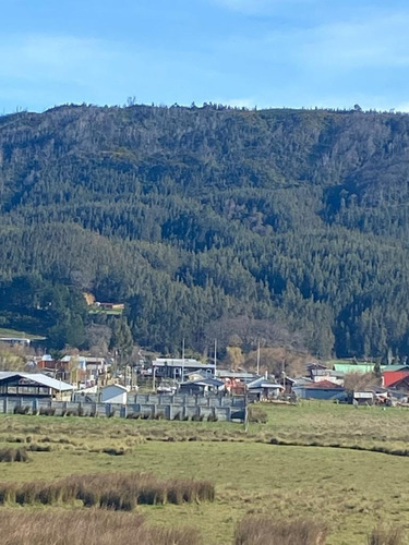 Vendo 16  Hectáreas De Cerro En Llico, Arauco