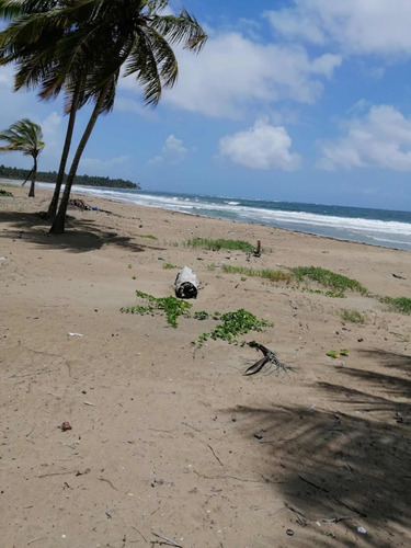 Venta De 11 Tareas Frente Playa Nagua República Dominicana