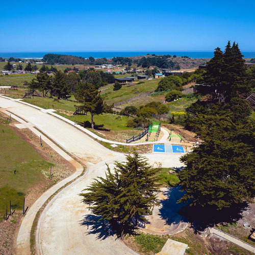 Pichilemu /punta De Lobos (74859)