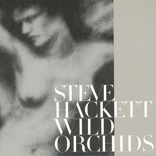 Steve Hackett Wild Orchids Cd