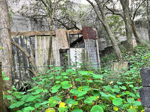 Terreno De 122m2, Colonia Primavera
