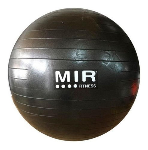 Pelota De Esferodinamia Mir Fitness De 65 Cm Diametro