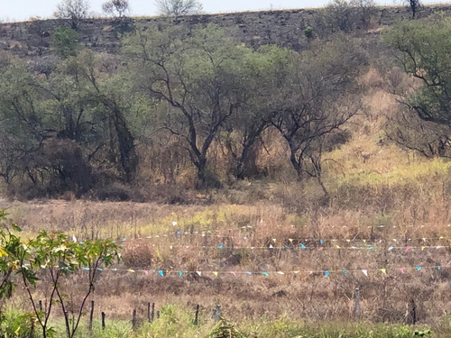 Imagen 4 de 6 de Oportunidad Compra Terreno A 5 Km Del Lago De Tequesquitengo