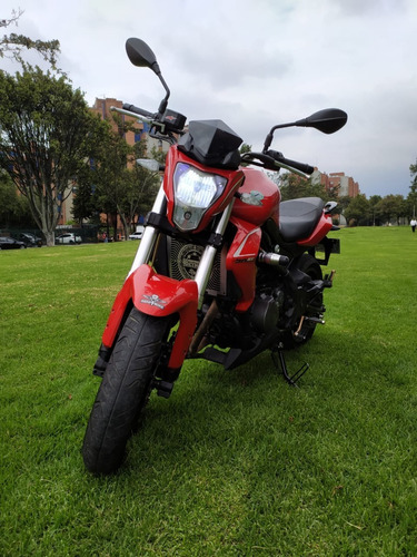 Benelli 302 2016
