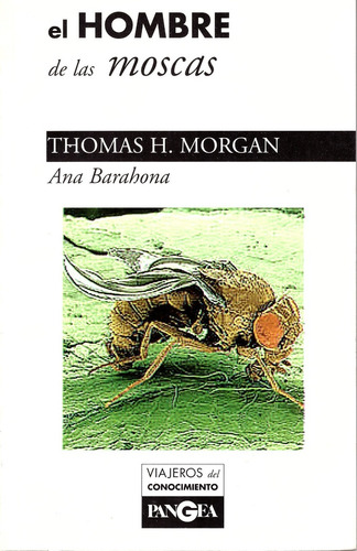 El Hombre De Las Moscas Thomas H Morgan, De Barahona Ana. Editorial Pangea Editores, Tapa Blanda, Edición 1 En Español, 1992