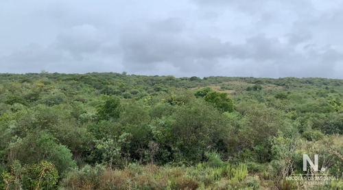 Chacra De 5 Has En Aigua , Maldonado