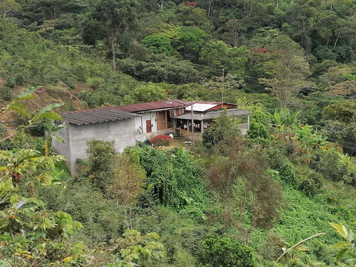 Venta Finca Cordoba Quindio Cod: 3568783