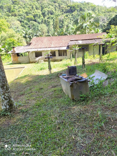 Imagem 14 de 24 de Sítio Com 03 Lagos, Nascentes, Fogão A Lenha, Churrasqueira, Árvores Frutíferas Sendo 70 Pés De Lichia, 150 Pés De Pitaia, No Bairro Faú Em Miracatu, Com 38.000 M² De Área Total Ref: Ch132/ac