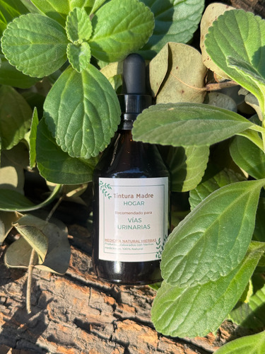 Tintura Madre Vías Urinarias. Cistitis, Infecciones. 60ml.
