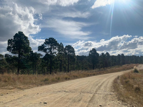 Imagen 4 de 6 de Lote Escriturado De 7432 M2 En Los Reartes- Cordoba
