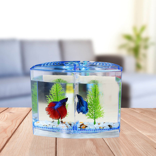 Tanque De Mesa Para Cultivo De Camarones, Acrílico
