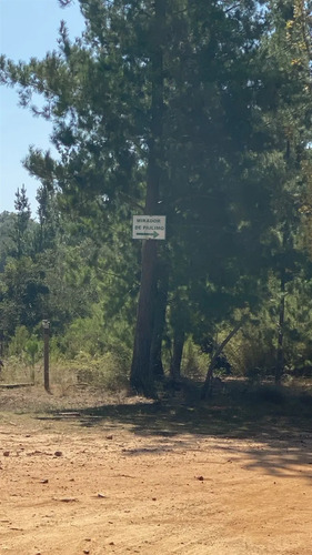 Parcelas A 35 Minutos De Pichilemu, Pie 0
