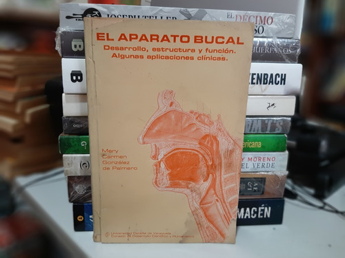 El Aparato Bucal